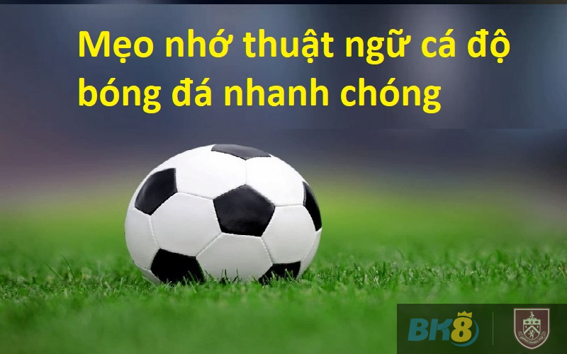 Thuật ngữ cá độ bóng đá dành cho người mới tại BK8 3 Mẹo nhớ thuật ngữ cá độ bóng đá nhanh chóng