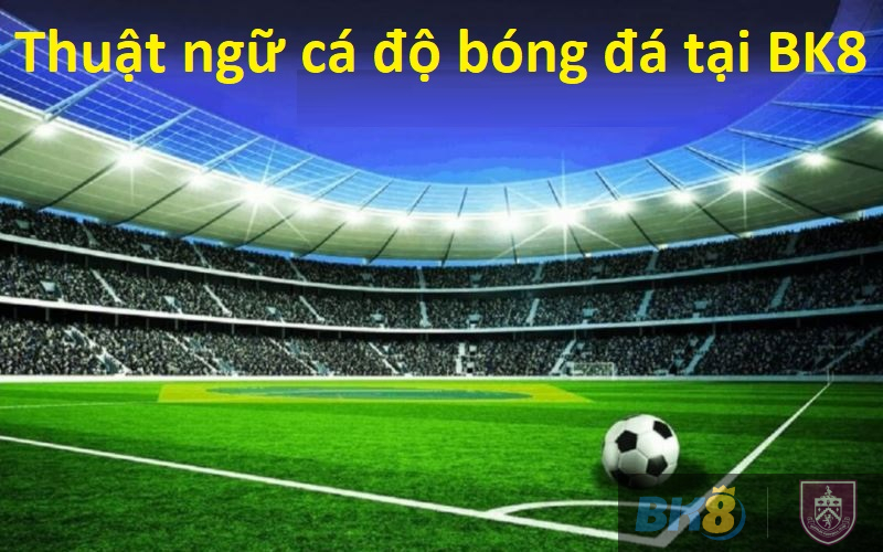 Thuật ngữ cá độ bóng đá dành cho người mới tại BK8 1 Thuật ngữ cá độ bóng đá tại BK8