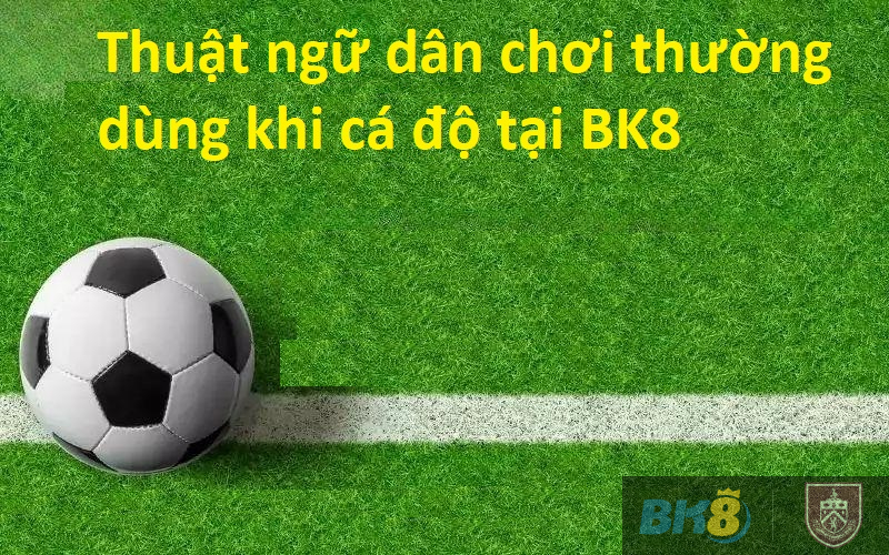 Thuật ngữ cá độ bóng đá dành cho người mới tại BK8 2 Thuật ngữ dân chơi thường dùng khi cá độ tại BK8